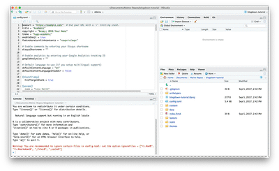 RStudio's four pane view immediately after installation. 