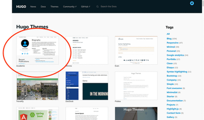 Huge variety of Hugo themes to choose from. 