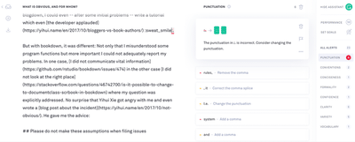 Screenshot of alerts from type 'Punctuation'